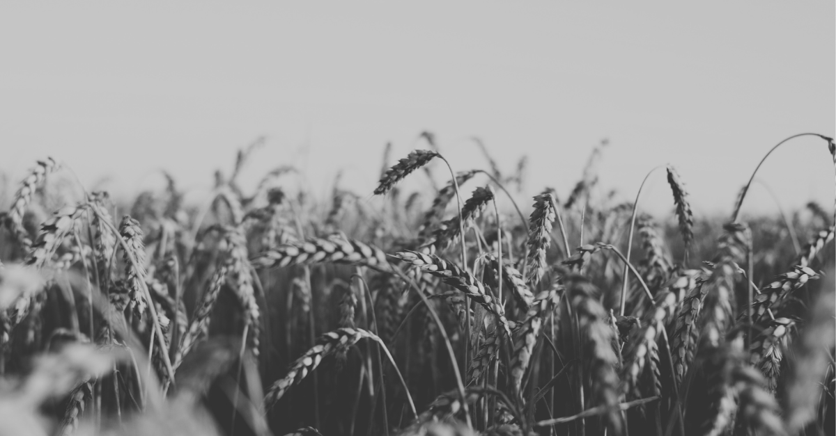 ALyC Integral Agro